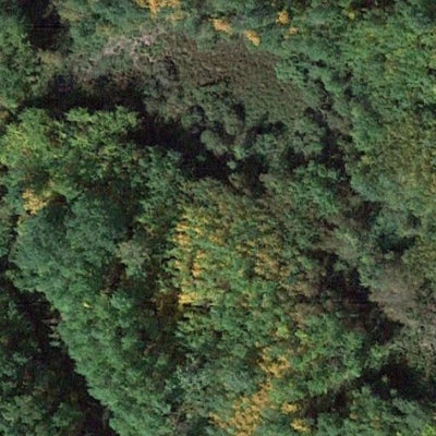 East Branch WMA Preview 2