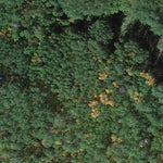 East Branch WMA Preview 3