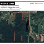 Elgin Woods WMA Preview 1
