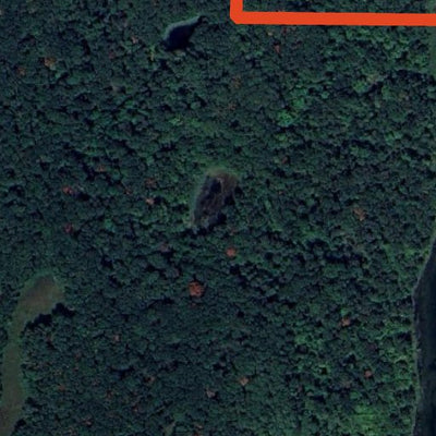 Elgin Woods WMA Preview 2
