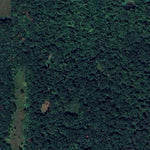 Elgin Woods WMA Preview 3