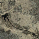 Emardville WMA Preview 3