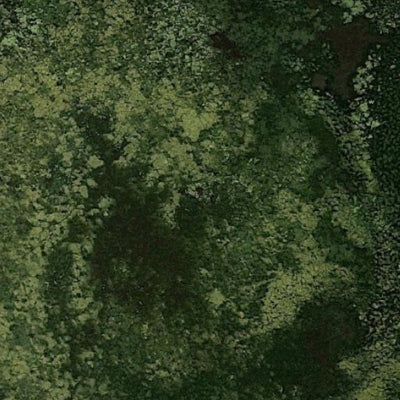 Eng Lake WMA Preview 3