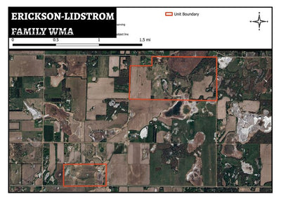 Erickson-Lidstrom Family WMA Preview 1