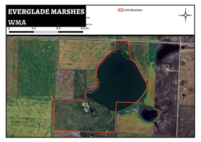 Everglade Marshes WMA Preview 1