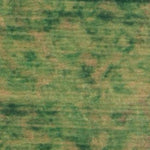 Everglade Marshes WMA Preview 3