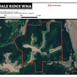 Ferndale Ridge WMA Preview 1