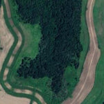 Ferndale Ridge WMA Preview 2