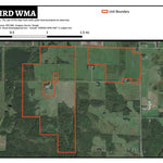 Firebird WMA Preview 1