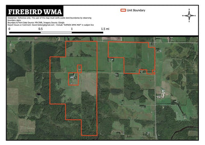 Firebird WMA Preview 1