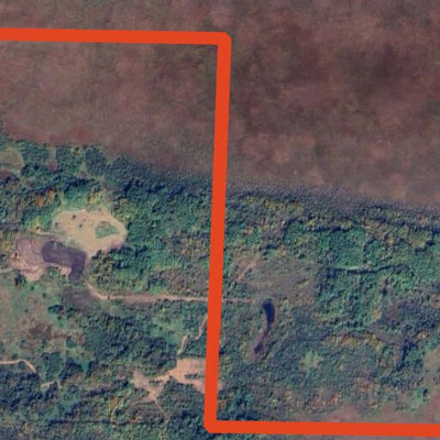 Fireweed WMA Preview 2