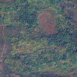 Fireweed WMA Preview 3