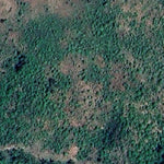 Floodwood WMA Preview 2