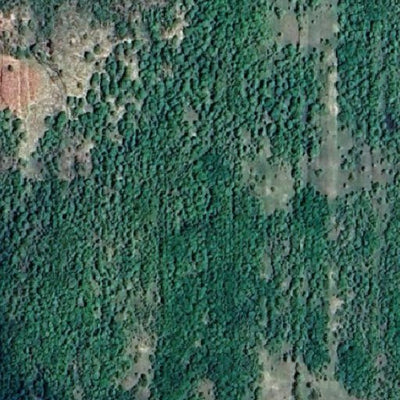 Floodwood WMA Preview 3