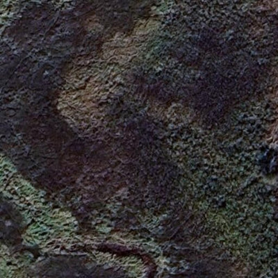 Florida Creek WMA - Middle Unit Preview 2