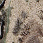 Fossum WMA - Bottin Tract Preview 3