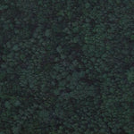 Gardner Lake WMA Preview 3