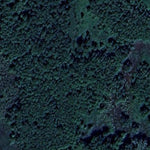 George & Elizabeth Lang WMA Preview 2