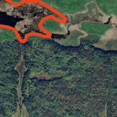 Gold Portage WMA Preview 3