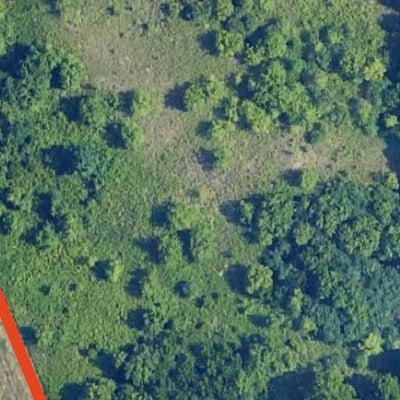 Gordon W. Yeager WMA - North East Unit Preview 2