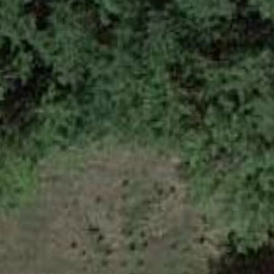 Gravel Pit 2749 WMA Preview 2