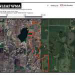 Greenleaf WMA Preview 1