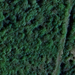 Grovelund WMA Preview 3