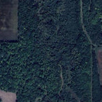 Gully WMA Preview 3