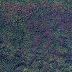 Gun-dog WMA Preview 3