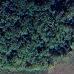 Gustave-Melby WMA - North Unit Preview 2