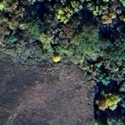 Gustave-Melby WMA - North Unit Preview 3