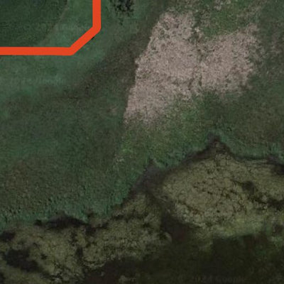 Halva Marsh WMA Preview 2