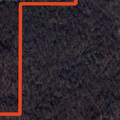 Hampton Woods WMA Preview 2