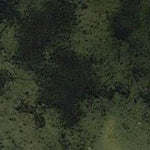 Hawks Nest WMA Preview 2