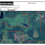 Hesitation WMA Preview 1