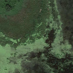 Hidden Marsh WMA Preview 2