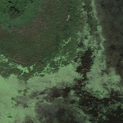 Hidden Marsh WMA Preview 2