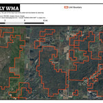 Huntly WMA Preview 1