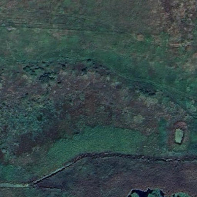 Iona WMA Preview 2