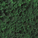 Island Lake WMA Preview 2