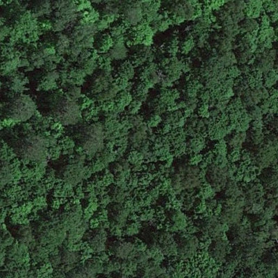 Island Lake WMA Preview 2