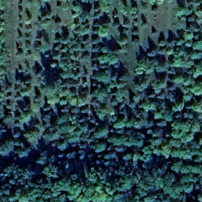 Kuhtz Lake WMA Preview 3