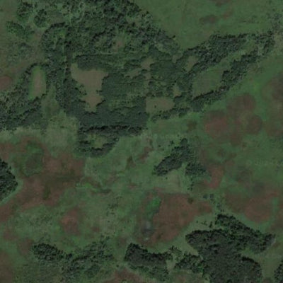 Kunkel WMA Preview 2