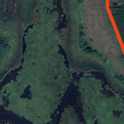 Lasher Lake WMA Preview 2