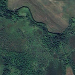 Lasher Lake WMA Preview 3