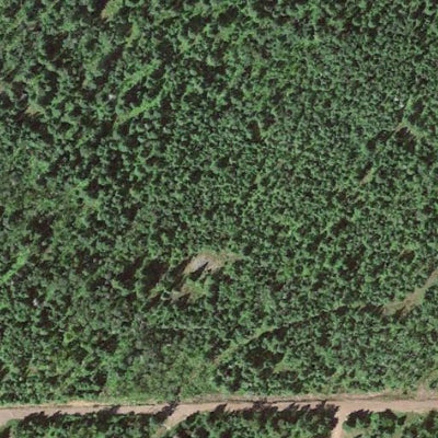 LeVeaux WMA Preview 3