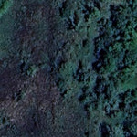 Little Fawn WMA Preview 3