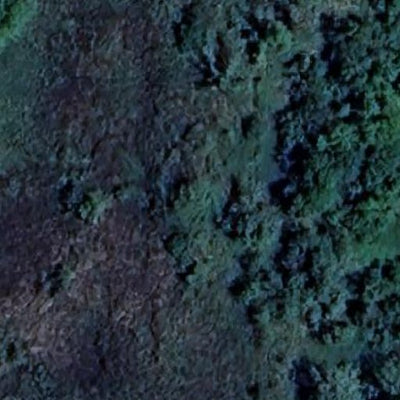 Little Fawn WMA Preview 3