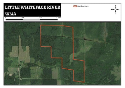Little Whiteface River WMA Preview 1