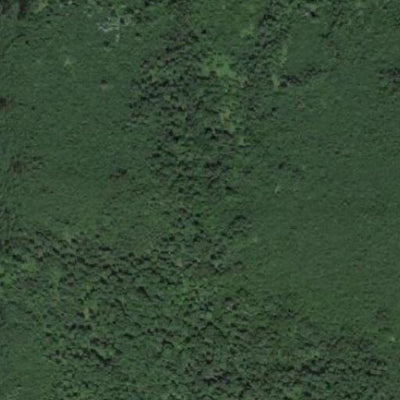 Little Whiteface River WMA Preview 2